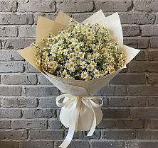Букет цветов из:  Ромашки #REPLACE_PRED# Невьянске