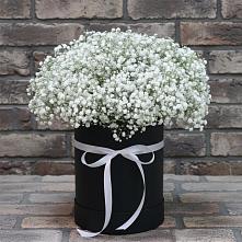 Цветочная композиция из Гипсофила в шляпной коробке #REPLACE_PRED# Невьянске