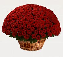 Премиум букет из: Розы в Невьянске